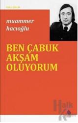 Ben Çabuk Akşam Oluyorum