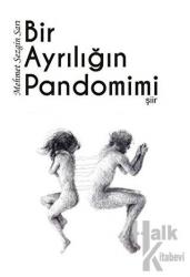 Bir Ayrılığın Pandomimi