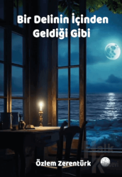 Bir Delinin İçinden Geldiği Gibi