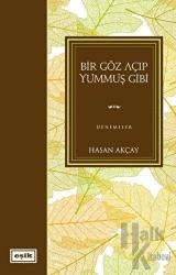 Bir Göz Açıp Yummuş Gibi