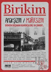 Birikim Aylık Sosyalist Kültür Dergisi Sayı: 230 - 231