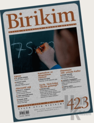 Birikim Dergisi Sayı 423 - Temmuz 2024