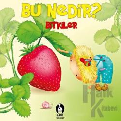 Bitkiler - Bu Nedir? (Ciltli)