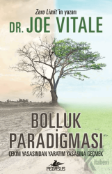 Bolluk Paradigması