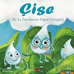 Çise: Bir Su Damlasının Hayat Döngüsü