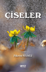 Çiseler