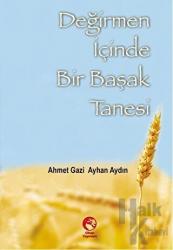 Değirmen İçinde Bir Başak Tanesi