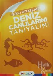 Deniz Canlılarını Tanıyalım - Işıklı Kitaplar