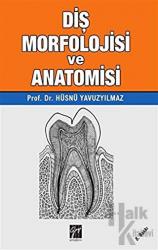 Diş Morfolojisi ve Anatomisi