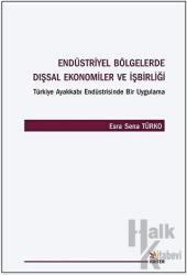 Endüstriyel Bölgelerde Dışsal Ekonomiler ve İşbirliği Türkiye Ayakkabı Endüstrisinde Bir Uygulama