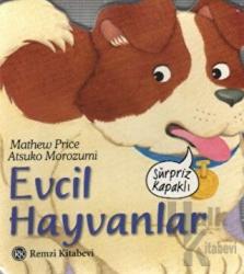 Evcil Hayvanlar