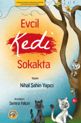 Evcil Kedi Sokakta