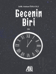 Gecenin Biri