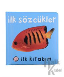 İlk Kitabım İlk Sözcükler (Ciltli)