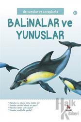 İlk Sorular ve Cevaplarla: Balinalar ve Yunuslar