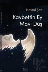 Kaybettin Ey Mavi Düş