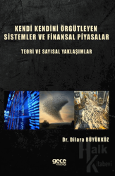 Kendi Kendini Örgütleyen Sistemler ve Finansal Piyasalar : Teori ve Sayısal Yaklaşımlar