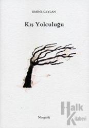 Kış Yolculuğu