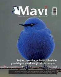 Mavi Gök Kültür Sanat Edebiyat Dergisi Sayı: 8 Temmuz - Ağustos 2022