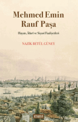 Mehmed Emin Rauf Paşa Hayatı, İdarî ve Siyasî Faaliyetleri