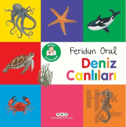 Minik Kitaplarım – Deniz Canlıları