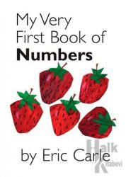 My Very First Book of Numbers