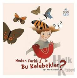 Neden Farklı Bu Kelebekler?