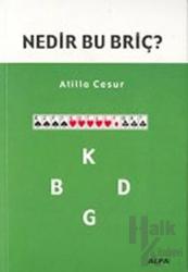 Nedir Bu Briç?