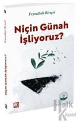 Niçin Günah İşliyoruz?