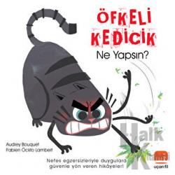 Öfkeli Kedicik