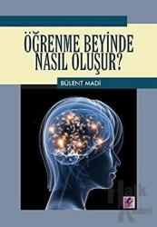 Öğrenme Beyinde Nasıl Oluşur?