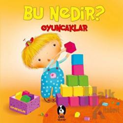 Oyuncaklar - Bu Nedir? (Ciltli)