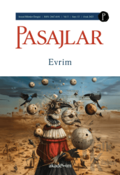 Pasajlar Sosyal Bilimler Dergisi Sayı: 13