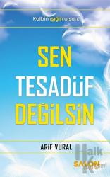 Sen Tesadüf Değilsin