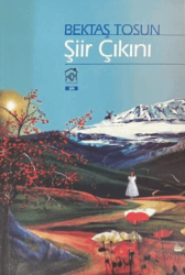 Şiir Çıkını