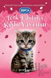 Terk Edilmiş Kedi Yavrusu