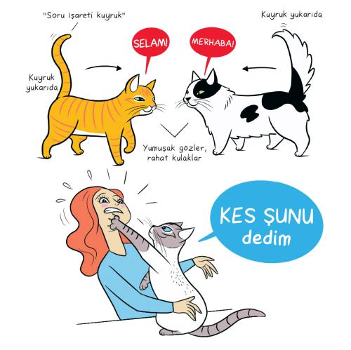Kedi Dili ve Köpek Dili - Kartpostal - Ayraç - Aşı Takip Kartı - İkili Kedi Dili ve Köpek Dili - Kartpostal - Ayraç - Aşı Takip Kartı - İkili