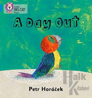 A Day Out (Big Cat Phonics)