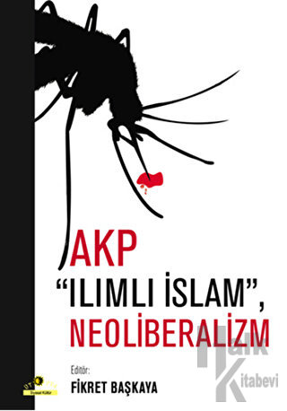 AKP Ilımlı İslam, Neoliberalizm