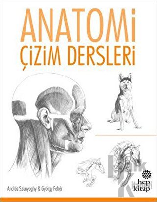 Anatomi Çizim Dersleri