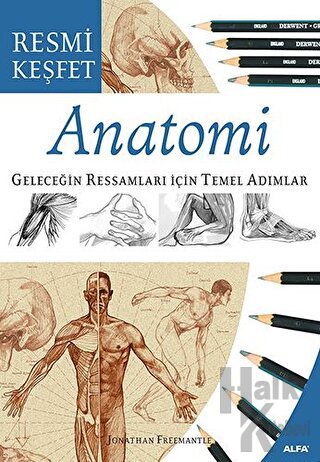 Anatomi Geleceğin Ressamları İçin Temel Adımlar