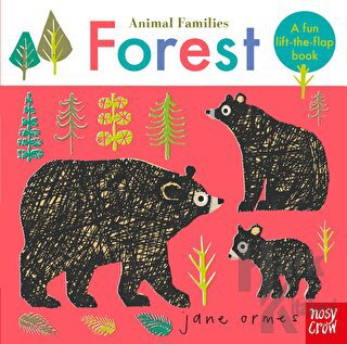 Animal Families: Forest (Ciltli)