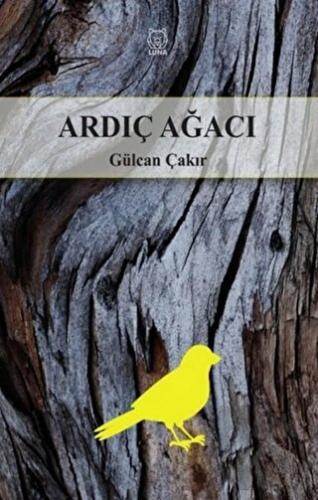 Ardıç Ağacı - Halkkitabevi