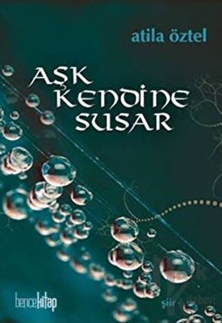 Aşk Kendine Susar