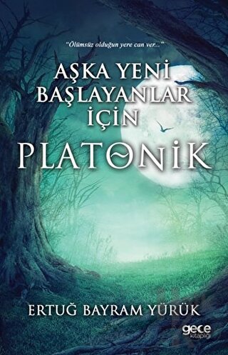 Aşka Yeni Başlayanlar İçin Platonik