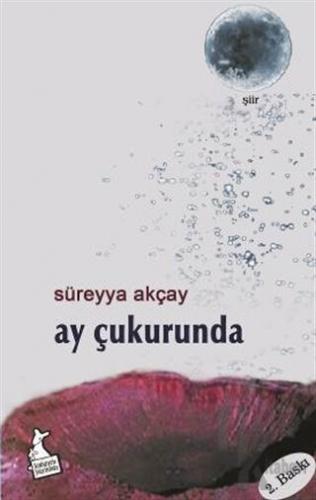 Ay Çukurunda