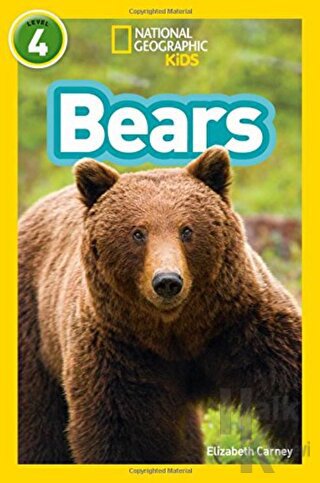 Bears: Level 4