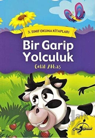 Bir Garip Yolculuk