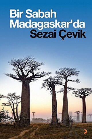 Bir Sabah Madagaskar'da