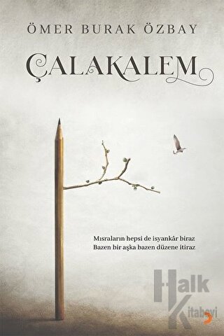 Çalakalem